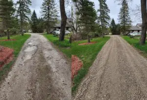 Two different pictures of a dirt road and trees.